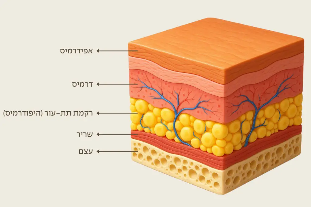 שיטת שלוש השכבות - המרכז לרפואת עור ואסתטיקה, ד"ר אלה אגוזי